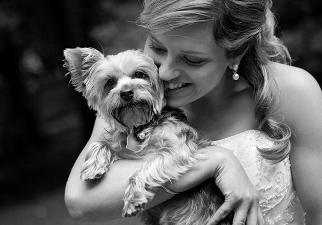 домашние любимцы на свадьбе, утро невесты