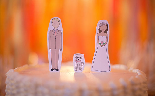 домашние любимцы на свадьбе, фигурки на торт