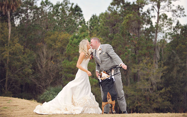 домашние любимцы на свадьбе, фотосессия с любимцем