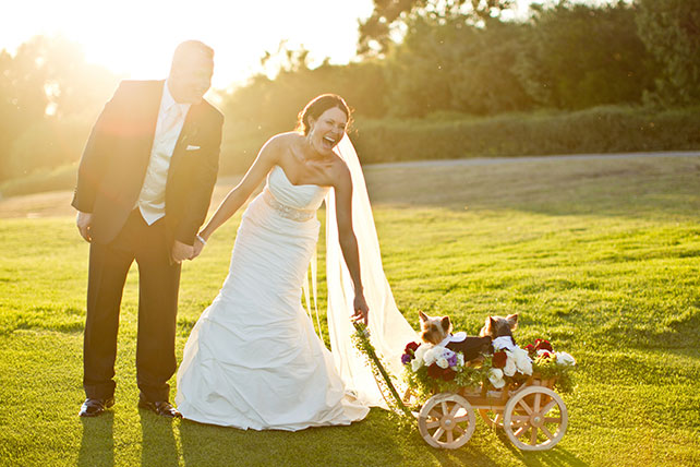 домашние любимцы на свадьбе, фотосессия с любимцем