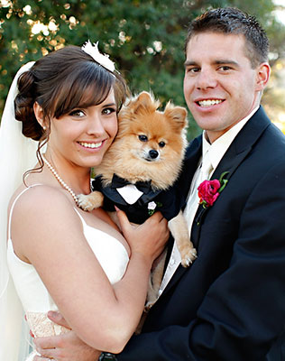домашние любимцы на свадьбе, фотосессия с любимцем