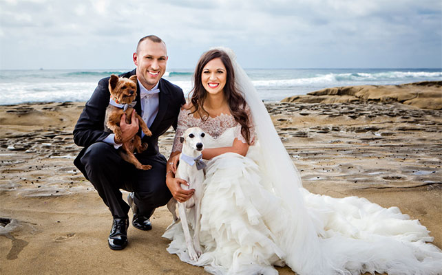 домашние любимцы на свадьбе, фотосессия с любимцем