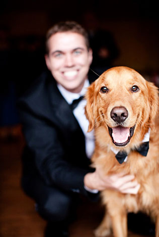 домашние любимцы на свадьбе, фотосессия с любимцем