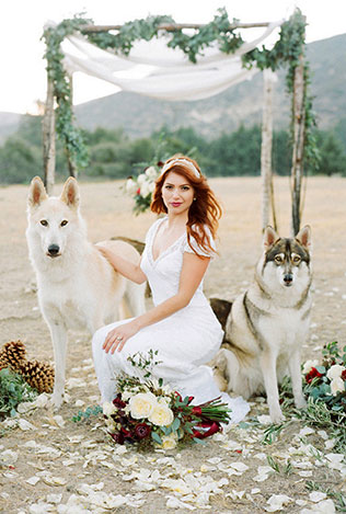 домашние любимцы на свадьбе, фотосессия с любимцем