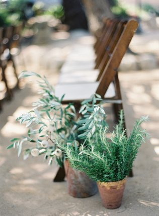 Свадьба в деталях: дорожка к алтарю под открытым небом 