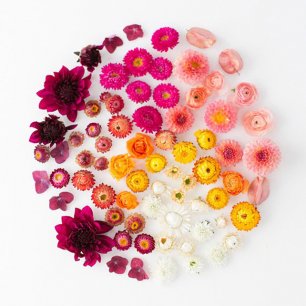 Свадебная флористика, доступная каждой невесте