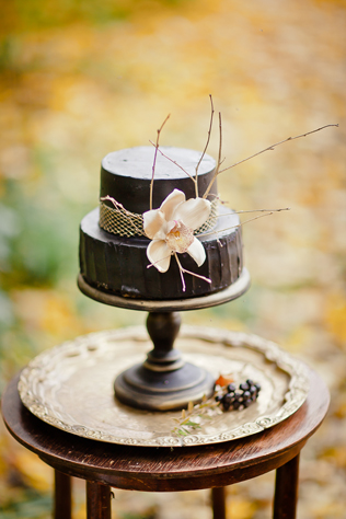 Свадебный фотограф Елена Жунь 