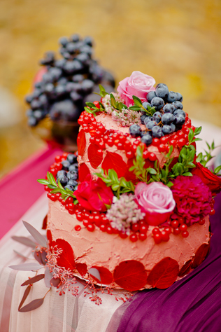 Свадебный фотограф Елена Жунь 