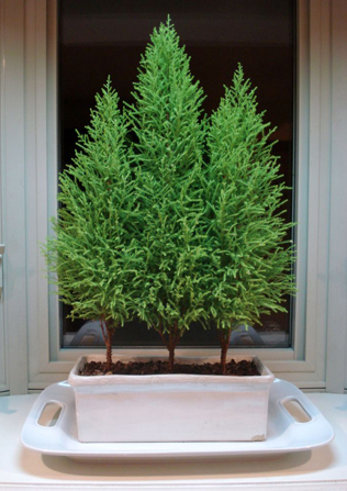 Свадьба в деталях: ели и еловые ветки 