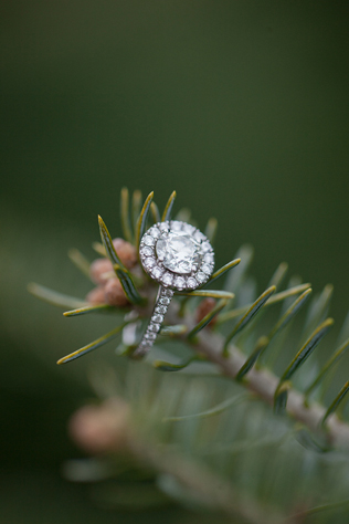 Свадьба в деталях: ели и еловые ветки 