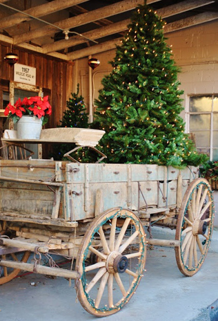 Свадьба в деталях: ели и еловые ветки 
