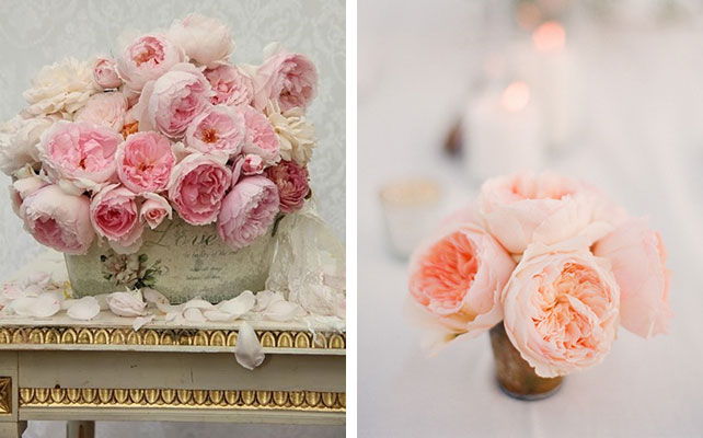 флористы о цветах, пионовидная роза, декор свадьбы пионовидными розами