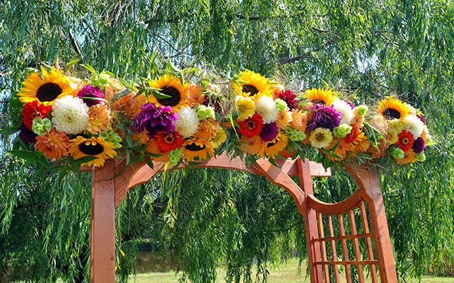 какие вопросы нужно с задать флористу во время подготовки к свадьбе