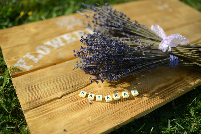 лаванда в декоре свадьбы