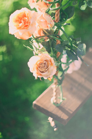 Свадебная фотосессия на качелях, качели