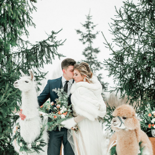 Какие цвета выбрать для зимней свадьбы: 13 идеальных сочетаний