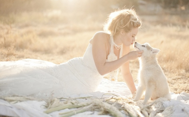 Домашние питомцы на свадьбе