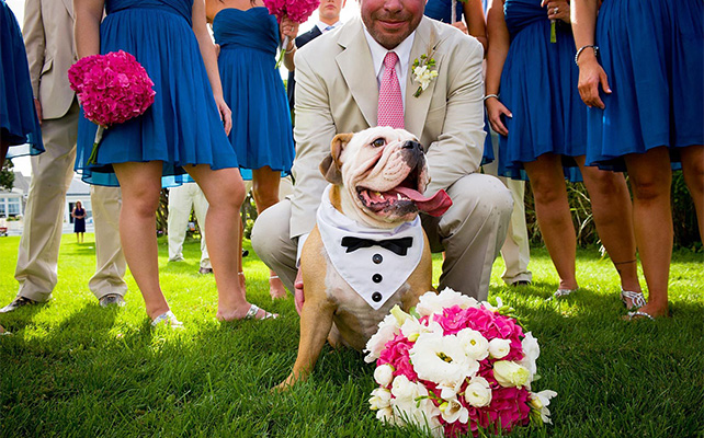 44 уникальных романтических букета невесты