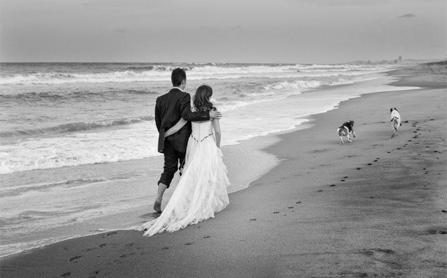 Домашние питомцы на свадьбе