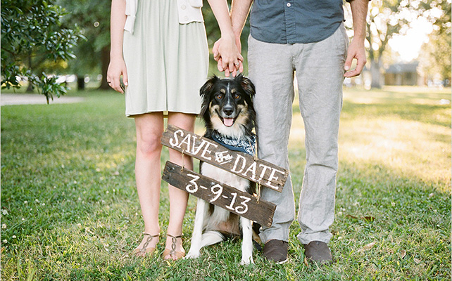 Домашние питомцы на свадьбе