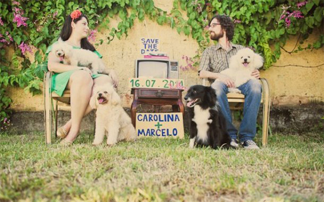 Домашние питомцы на свадьбе