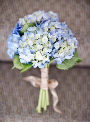 5 причин, почему на вашей свадьбе должна быть гортензия 