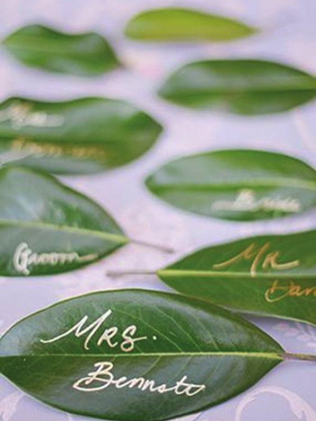 Greenery — главный цвет 2017 года 