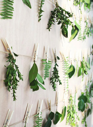 Greenery — главный цвет 2017 года 