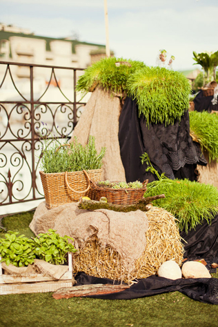 свадьба на крыше, декор фуршетного стола 