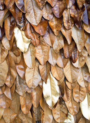 78 идей для свадьбы поздней осенью 