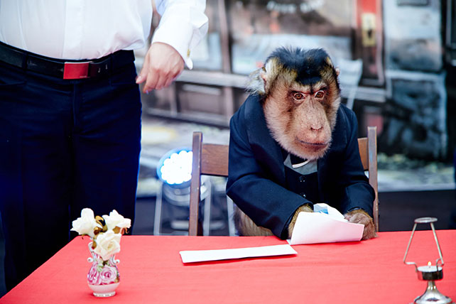 Наталья Нова, организация свадьбы в Москве