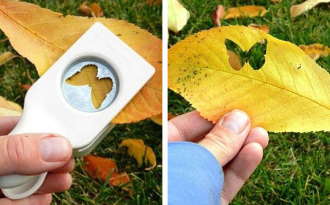 как закончить свадьбу красиво, конфетти из осенних листьев