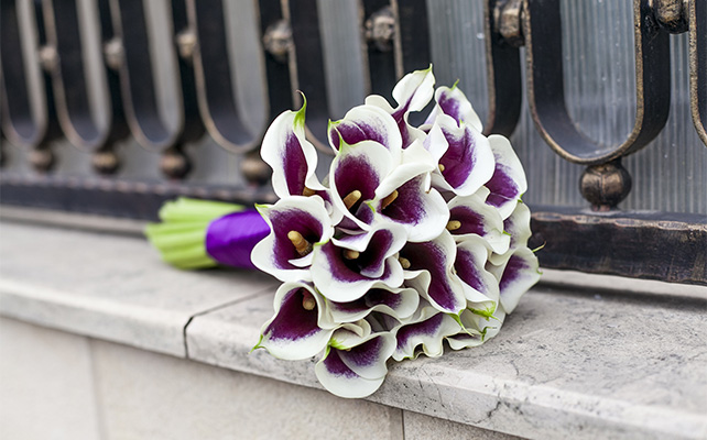 Каллы в букете 