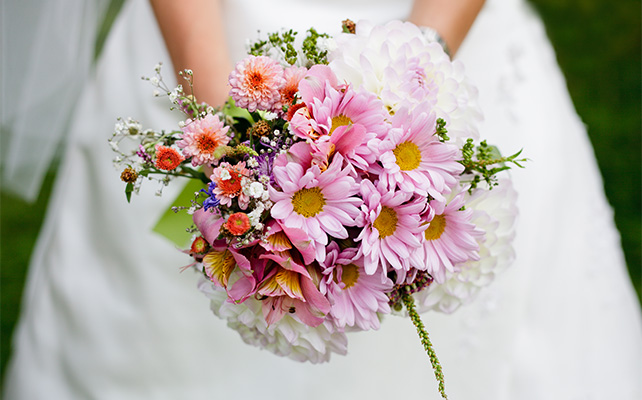 Ромашки в букете 