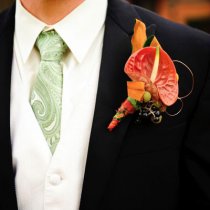 kateconnollyblog.com