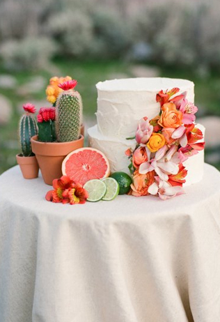 Очарование пустыни: кактусы на летней свадьбе 