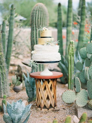 Очарование пустыни: кактусы на летней свадьбе 