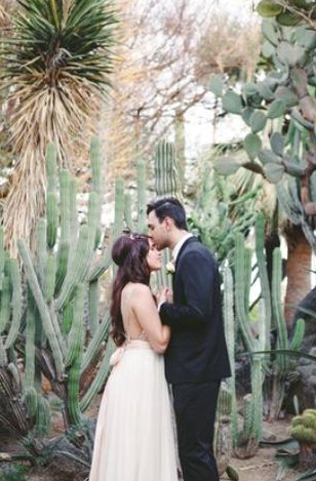 Очарование пустыни: кактусы на летней свадьбе 