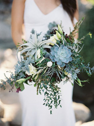 Очарование пустыни: кактусы на летней свадьбе 