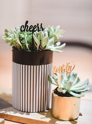 Очарование пустыни: кактусы на летней свадьбе 