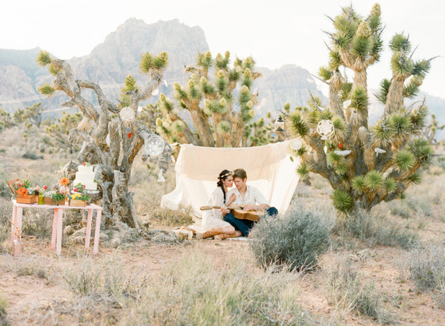 Очарование пустыни: кактусы на летней свадьбе 