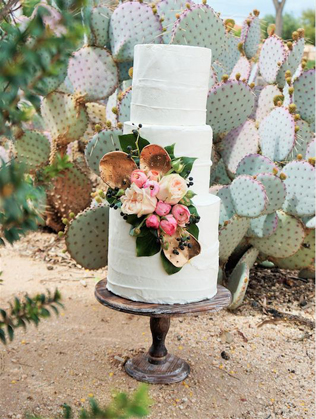 Очарование пустыни: кактусы на летней свадьбе 