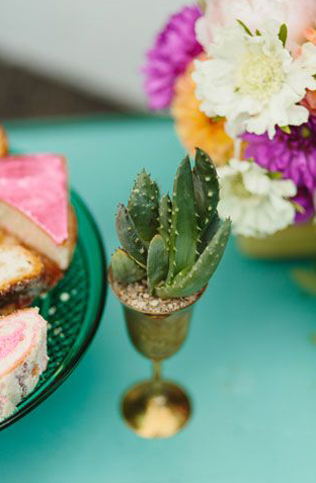 Очарование пустыни: кактусы на летней свадьбе 