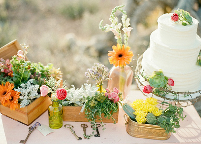 Очарование пустыни: кактусы на летней свадьбе 