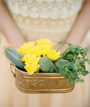 Очарование пустыни: кактусы на летней свадьбе 