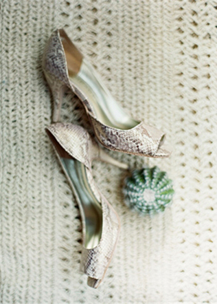 Очарование пустыни: кактусы на летней свадьбе 