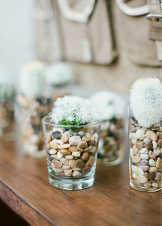 Очарование пустыни: кактусы на летней свадьбе 