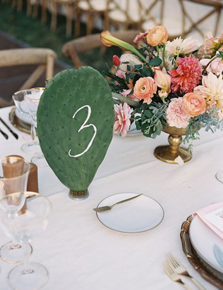 Очарование пустыни: кактусы на летней свадьбе 