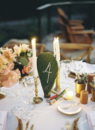 Очарование пустыни: кактусы на летней свадьбе 