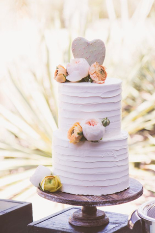 Очарование пустыни: кактусы на летней свадьбе 